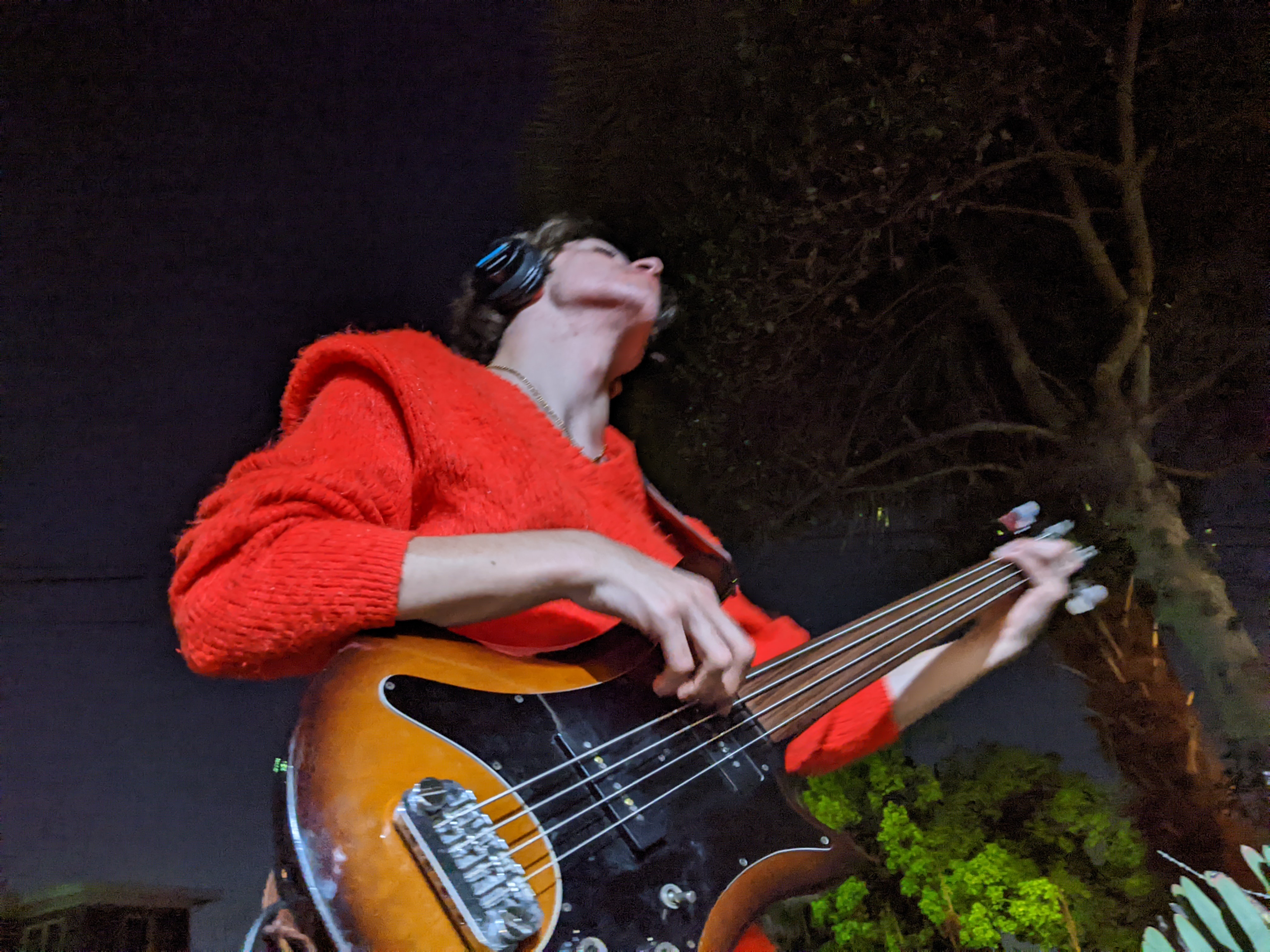 Rocco electric bass at night